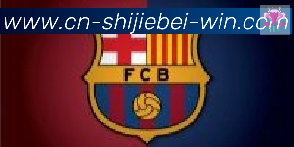 世界杯买球入口合作伙伴